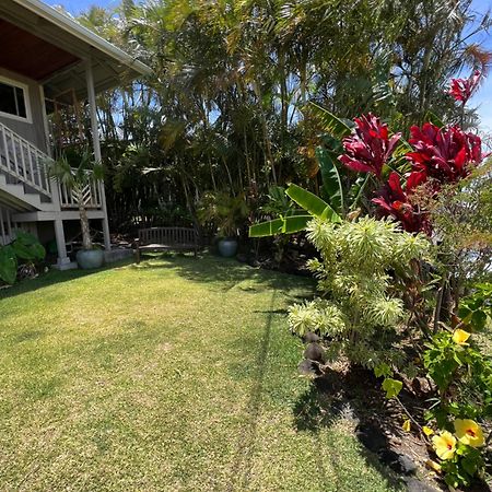 Private Ohana On The Lush Hamakua Coast With Ac Honokaa ภายนอก รูปภาพ