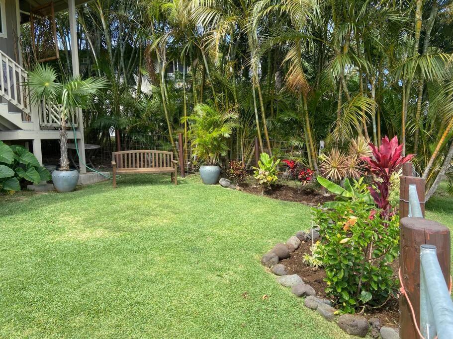 Private Ohana On The Lush Hamakua Coast With Ac Honokaa ภายนอก รูปภาพ
