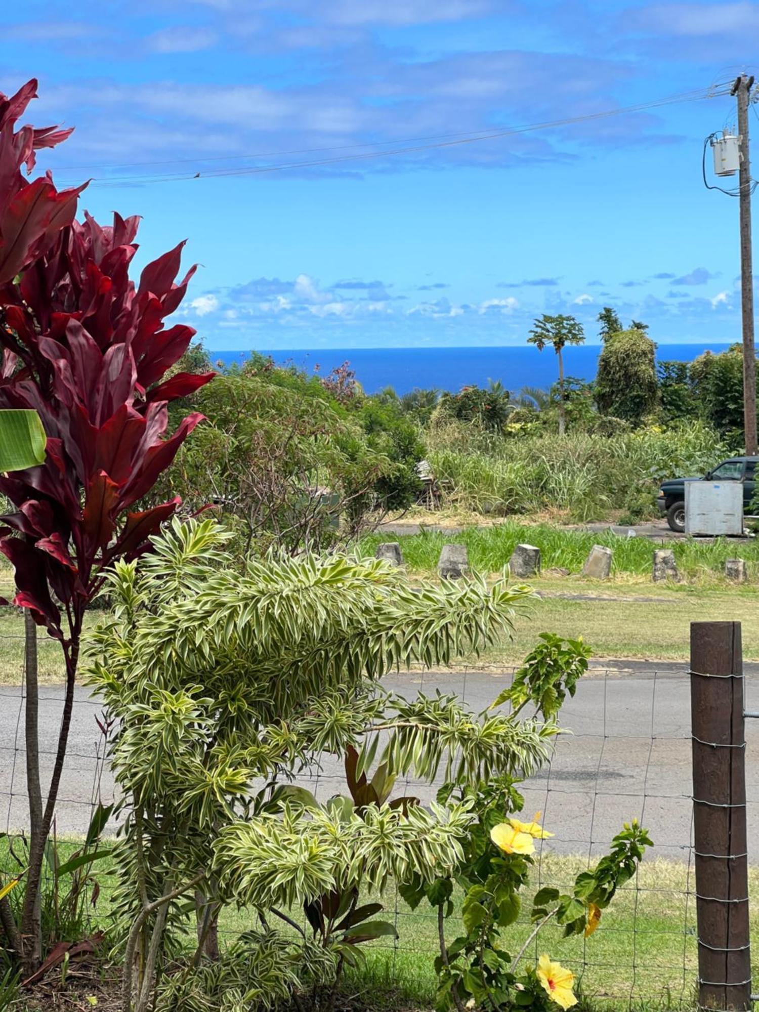 Private Ohana On The Lush Hamakua Coast With Ac Honokaa ภายนอก รูปภาพ