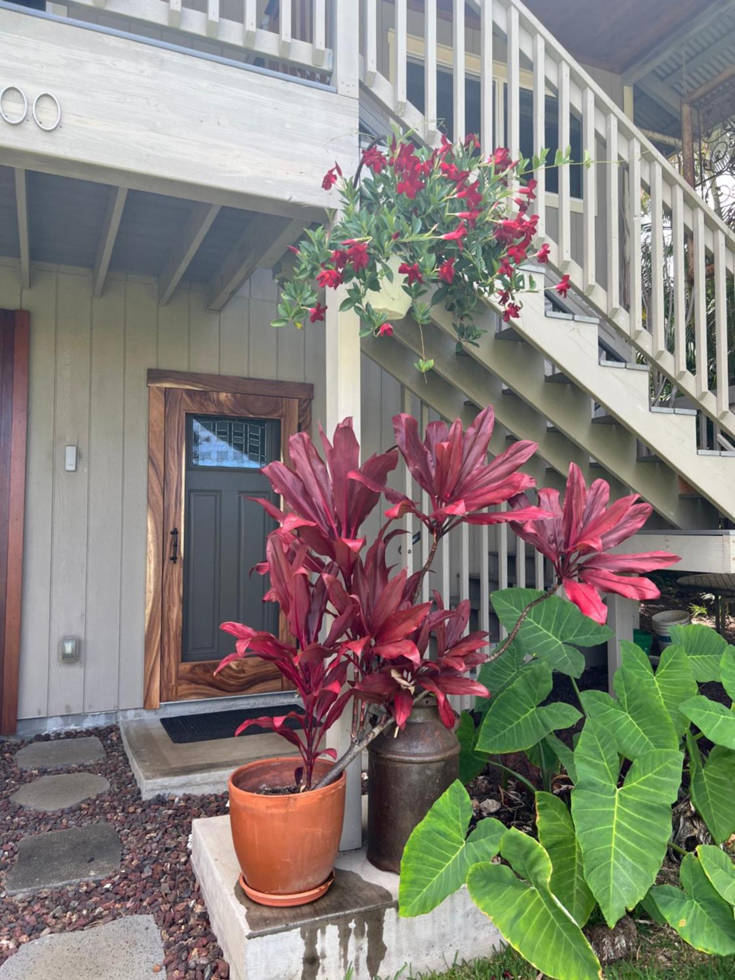 Private Ohana On The Lush Hamakua Coast With Ac Honokaa ภายนอก รูปภาพ