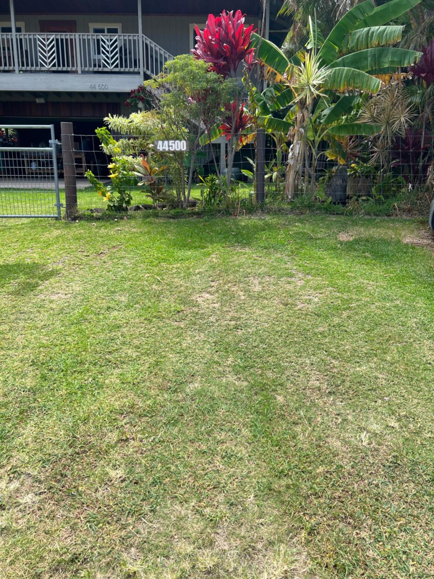 Private Ohana On The Lush Hamakua Coast With Ac Honokaa ภายนอก รูปภาพ